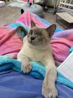img_062